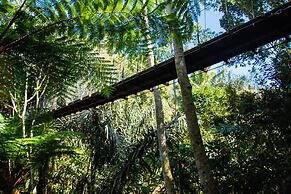 Alassari Plantation