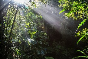 Alassari Plantation