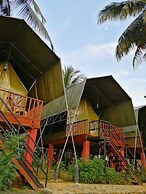 360 Rainforest