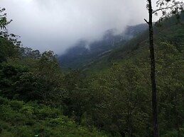 360 Rainforest