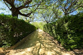 Lantana Garden
