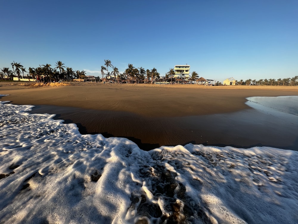 Agave del Mar