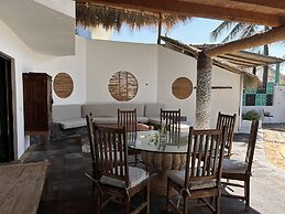 Agave del Mar