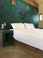 Agave del Mar