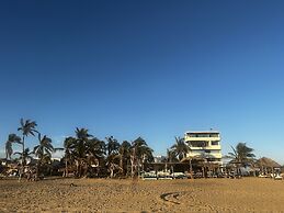 Agave del Mar