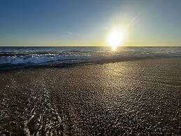 Agave del Mar