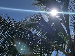 Agave del Mar