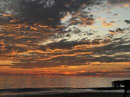 Agave del Mar