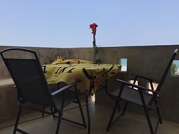 Agave del Mar