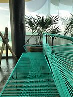 Agave del Mar