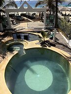 Agave del Mar