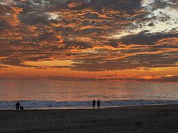 Agave del Mar