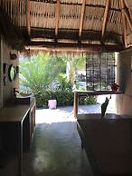 Agave del Mar