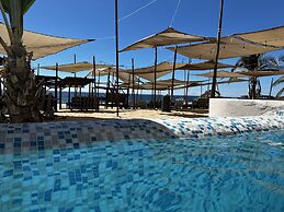Agave del Mar