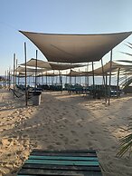 Agave del Mar