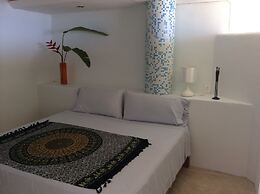 Agave del Mar