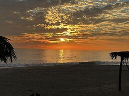 Agave del Mar