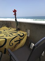 Agave del Mar