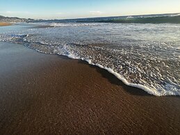 Agave del Mar