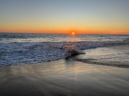 Agave del Mar
