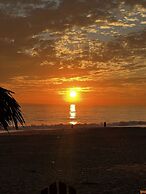 Agave del Mar