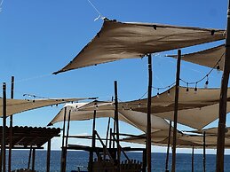 Agave del Mar