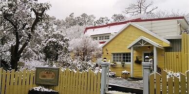 Prado Hill Holiday