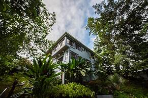 Volcano Gold Loft