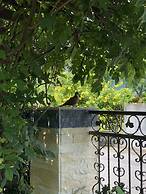 Slow Fly B&B
