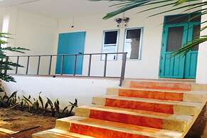Sleepy Owl Hostel
