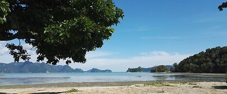 Tropical Eco Camping