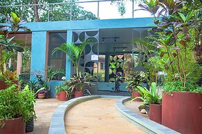 The Explorers Hub