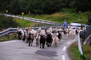 Visit Undredal