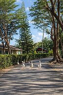 Fisherman Way Beach Villa