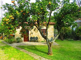 Quinta de Rio Alcaide
