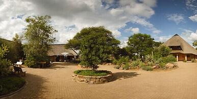 Cheetah View