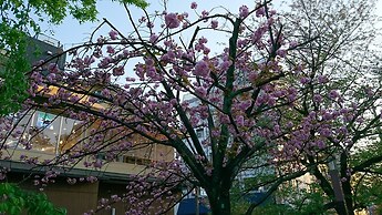 R&Run Kyoto serviced apartment & suites