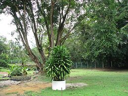 Mersing Merlin Inn