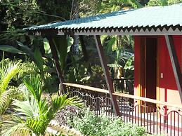 OASIS de las Palmas