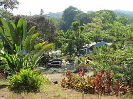 OASIS de las Palmas