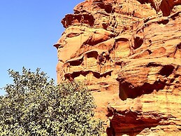 Wadi Rum Sky
