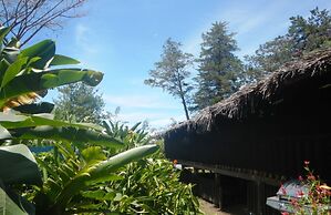 Hotel Phoenix