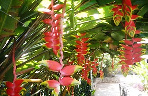 Hotel Phoenix