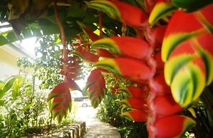 Hotel Phoenix