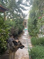 Kemal's Guest House