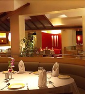 The Royal Orchid