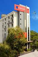 The Royal Orchid