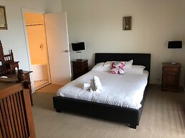 Squid Ink Motel