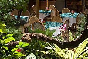 Poppies Bali