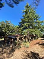 Agriturismo Bosco Pianetti